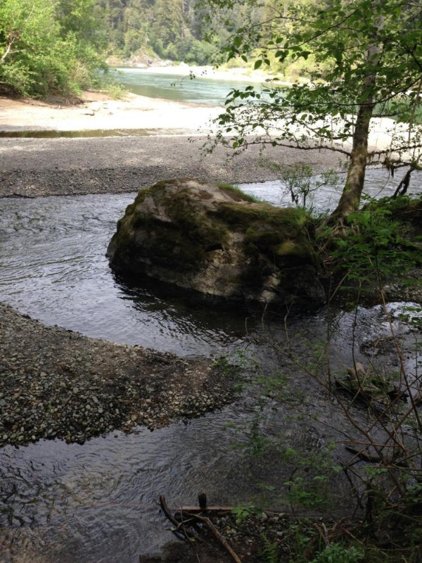 Redwood Inn image 21